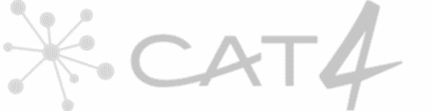cat 4